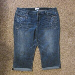 NWOT Lane Bryant 24 Blue Denim Rhinestone Mid Rise Petal Stretch Magic Waistband
